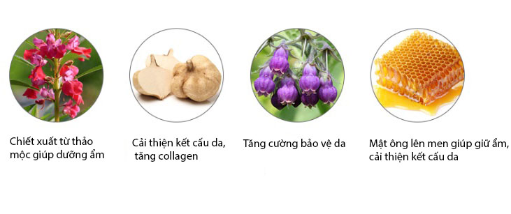 thanh-phan-cua-mat-na-desembre-han-quoc